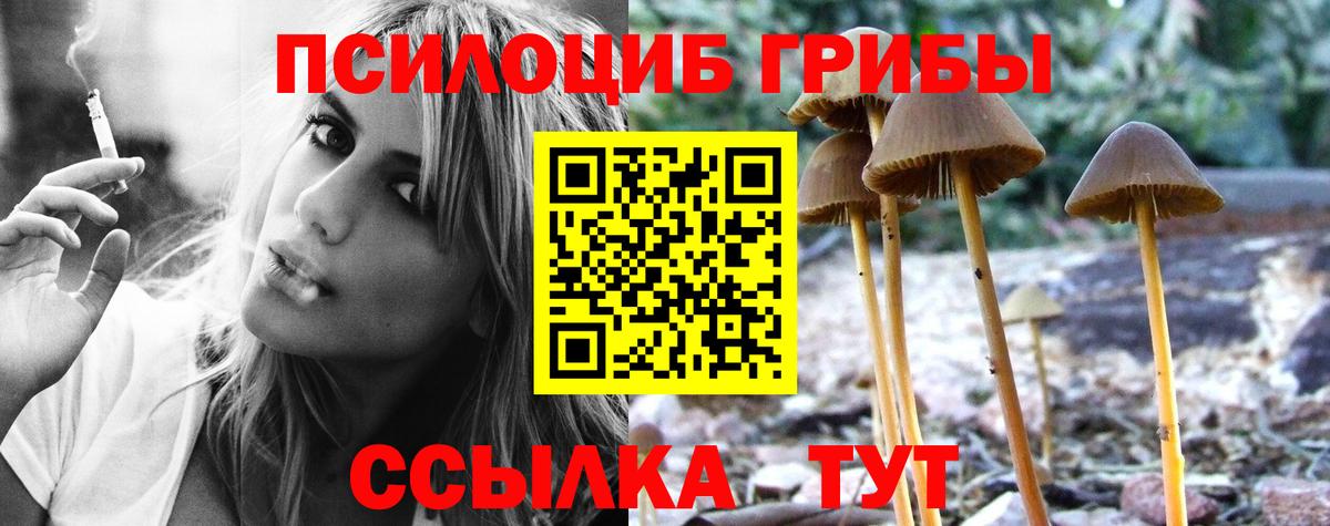 Щёлково  Галлюциногенные грибы MAGIC MUSHROOMS  купить наркотик  Вход с VPN 