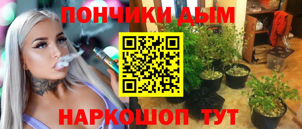 Щёлково  Бошки марихуана VHQ  Каннабис SATIVA & INDICA  Каннабис тримм  Вход с VPN  Конопля MAZAR 
